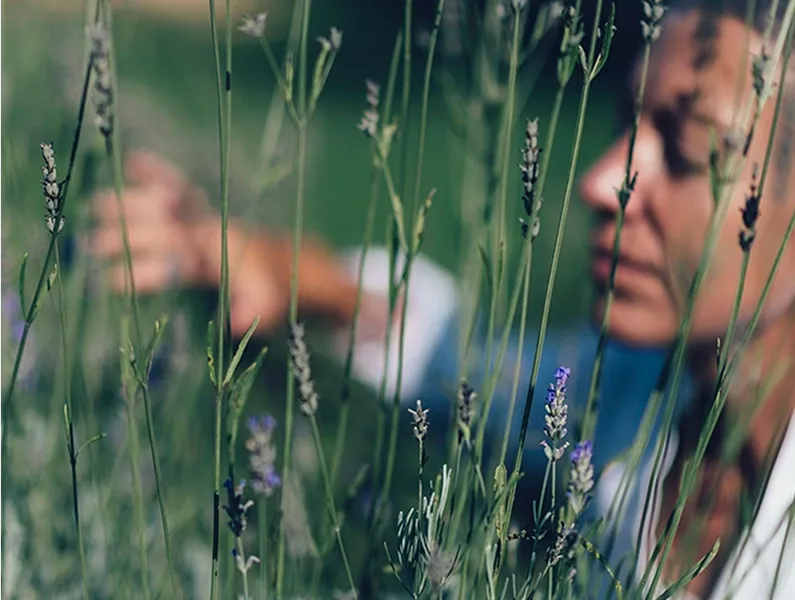 Qwell introduces a new membership for seniors