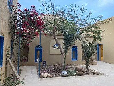 Qwell Club’s commitment to sustainability 